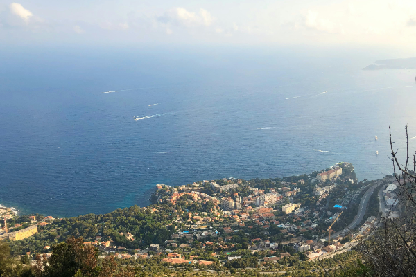 Infographie veille locale région PACA