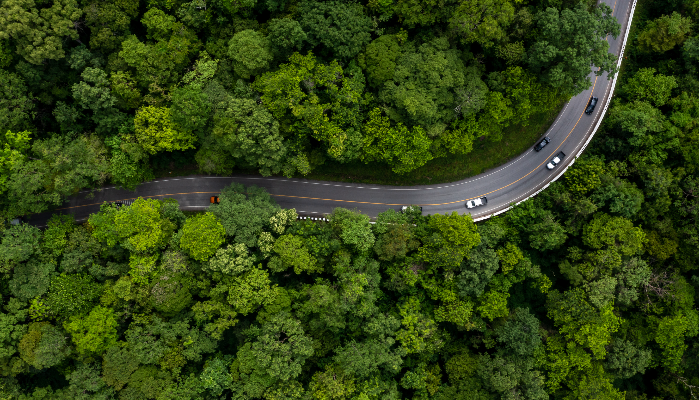 Article mobilité verte Chine
